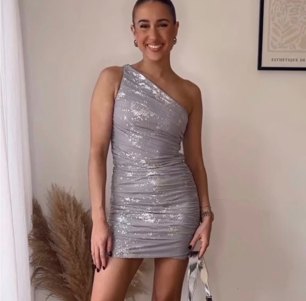 ZARA BLOGGER FAVORITE METALLIC PRINT TULLE DRESS